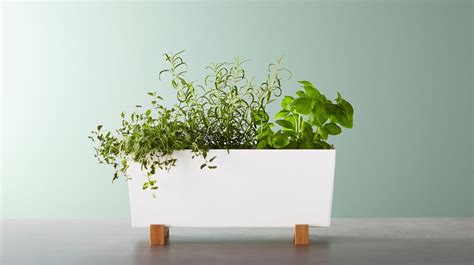 vochtmeter planten ikea|Indoor Plant Pots & Hanging Planters .